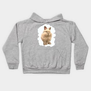 Clod Cream Lion Head Rabbit _ Bunniesmee Kids Hoodie